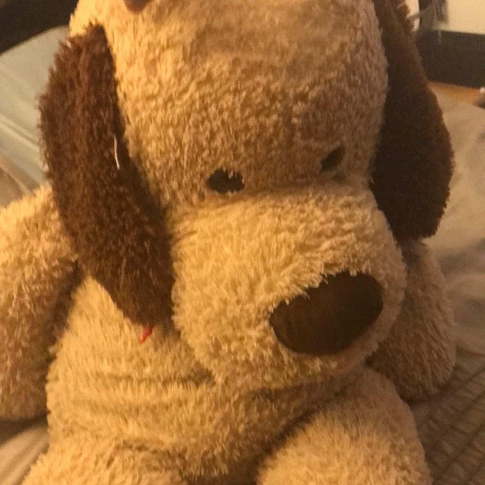 A Big stuffed animal